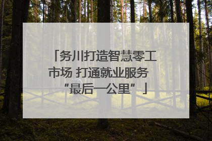 务川打造智慧零工市场 打通就业服务“最后一公里”