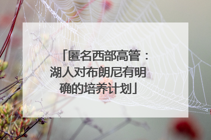匿名西部高管：湖人对布朗尼有明确的培养计划