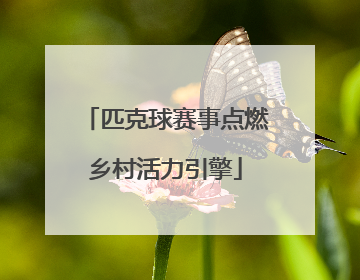 匹克球赛事点燃乡村活力引擎