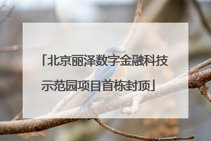 北京丽泽数字金融科技示范园项目首栋封顶