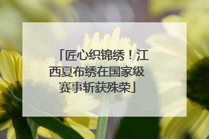 匠心织锦绣！江西夏布绣在国家级赛事斩获殊荣