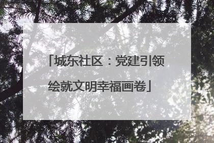 城东社区：党建引领绘就文明幸福画卷