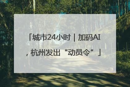 城市24小时｜加码AI，杭州发出“动员令”