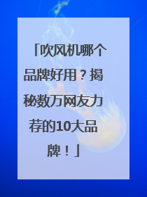 吹风机哪个品牌好用？揭秘数万网友力荐的10大品牌！