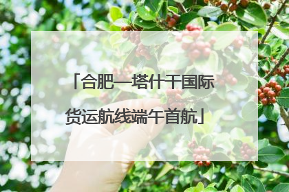 合肥—塔什干国际货运航线端午首航