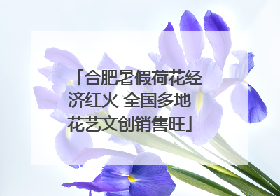 合肥暑假荷花经济红火 全国多地花艺文创销售旺