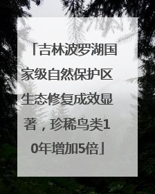 吉林波罗湖国家级自然保护区生态修复成效显著，珍稀鸟类10年增加5倍