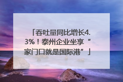 吞吐量同比增长4.3%！泰州企业坐享“家门口就是国际港”