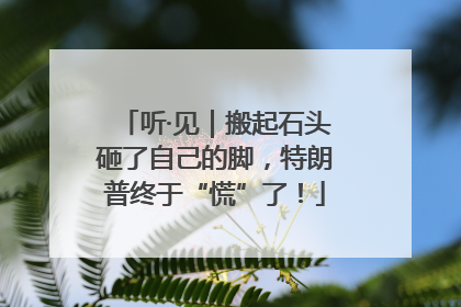 听·见｜搬起石头砸了自己的脚，特朗普终于“慌”了！
