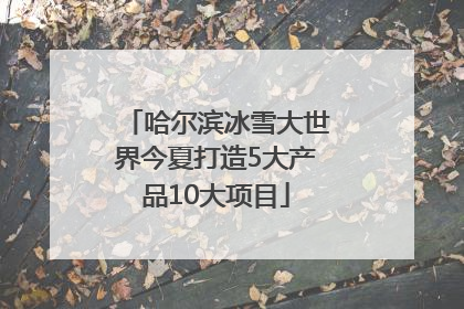 哈尔滨冰雪大世界今夏打造5大产品10大项目