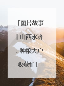 图片故事丨山西永济：种粮大户收获忙