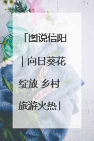 图说信阳｜向日葵花绽放 乡村旅游火热