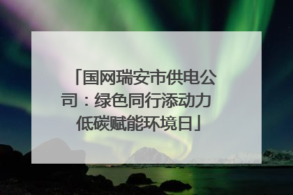 国网瑞安市供电公司：绿色同行添动力 低碳赋能环境日