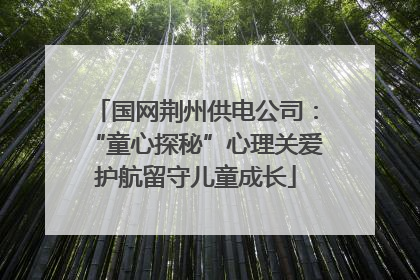 国网荆州供电公司：“童心探秘”心理关爱护航留守儿童成长