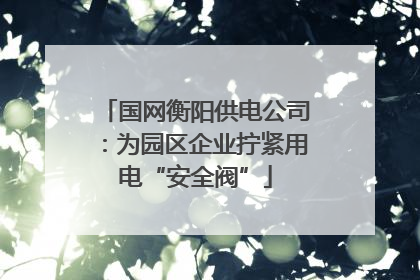 国网衡阳供电公司：为园区企业拧紧用电“安全阀”