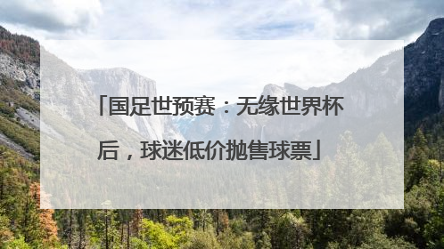 国足世预赛：无缘世界杯后，球迷低价抛售球票