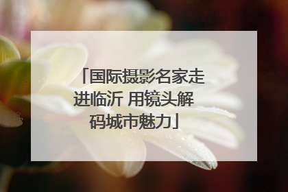 国际摄影名家走进临沂 用镜头解码城市魅力