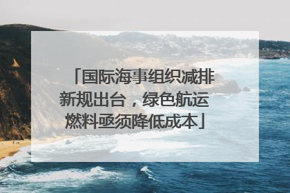 国际海事组织减排新规出台，绿色航运燃料亟须降低成本