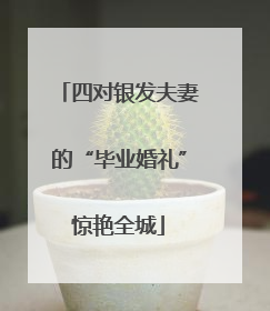 四对银发夫妻的“毕业婚礼”惊艳全城
