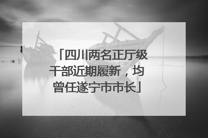 四川两名正厅级干部近期履新，均曾任遂宁市市长