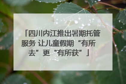 四川内江推出暑期托管服务 让儿童假期“有所去”更“有所获”