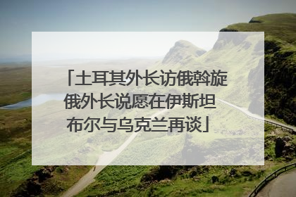 土耳其外长访俄斡旋 俄外长说愿在伊斯坦布尔与乌克兰再谈