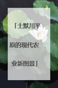 土默川平原的现代农业新图景