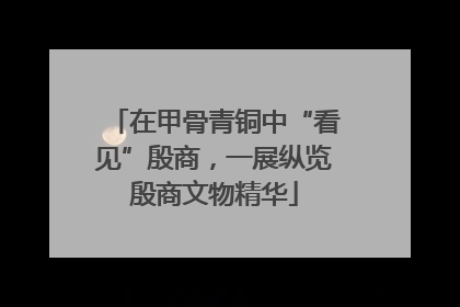在甲骨青铜中“看见”殷商，一展纵览殷商文物精华