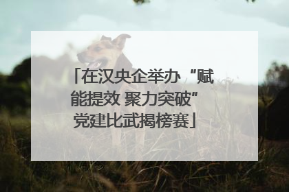 在汉央企举办“赋能提效 聚力突破”党建比武揭榜赛