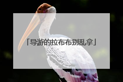 导游的拉布布别乱拿