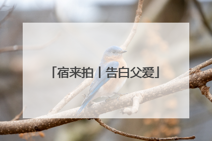 宿来拍丨告白父爱