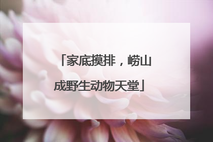 家底摸排，崂山成野生动物天堂