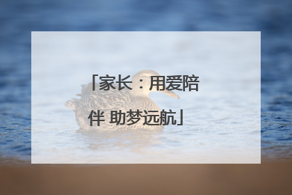 家长：用爱陪伴 助梦远航