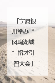 宁夏银川举办“凤鸣湖城”招才引智大会