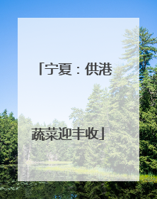 宁夏：供港蔬菜迎丰收
