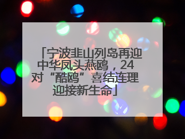 宁波韭山列岛再迎中华凤头燕鸥，24对“酷鸥”喜结连理迎接新生命