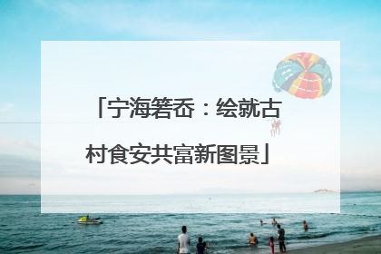 宁海箬岙：绘就古村食安共富新图景