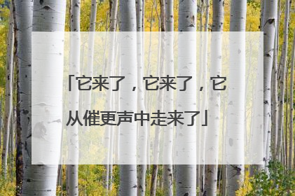 它来了，它来了，它从催更声中走来了