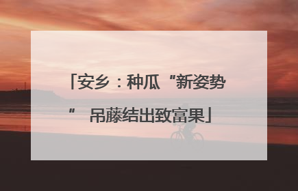 安乡：种瓜“新姿势” 吊藤结出致富果