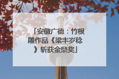 安徽广德：竹根雕作品《梁丰岁稔》斩获金鼎奖