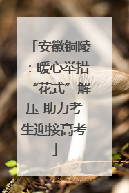 安徽铜陵：暖心举措“花式”解压 助力考生迎接高考