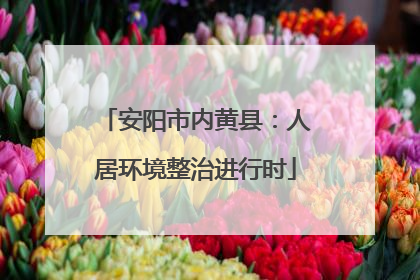 安阳市内黄县：人居环境整治进行时