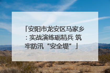 安阳市龙安区马家乡：实战演练砺精兵 筑牢防汛“安全堤”