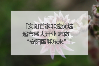 安阳首家非遗优选超市盛大开业 志做“安阳版胖东来”