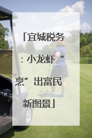 宜城税务：小龙虾“烹”出富民新图景