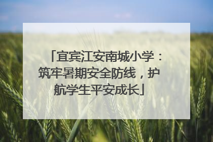 宜宾江安南城小学：筑牢暑期安全防线，护航学生平安成长