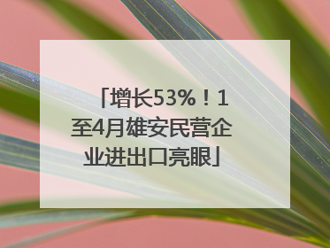 增长53%！1至4月雄安民营企业进出口亮眼