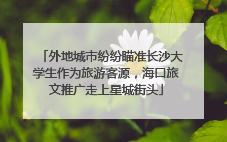 外地城市纷纷瞄准长沙大学生作为旅游客源，海口旅文推广走上星城街头