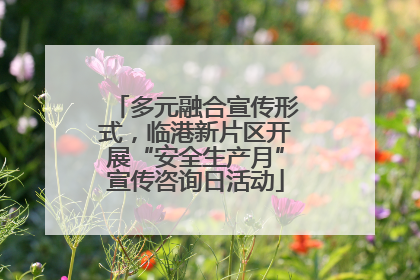 多元融合宣传形式，临港新片区开展“安全生产月”宣传咨询日活动