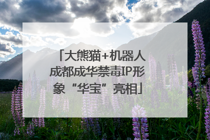 大熊猫+机器人 成都成华禁毒IP形象“华宝”亮相